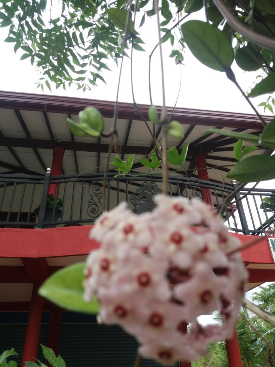 Peacock Villa Resort Udawalawe Exterior foto